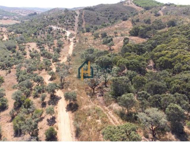 Terreno venda em Lagos, Faro