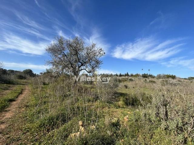 Terreno venda em Lagos, Faro