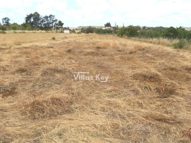 Terreno venda em Lagos, Faro