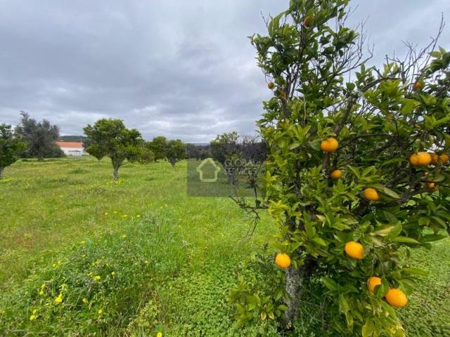 Terreno venda em Lagos, Faro