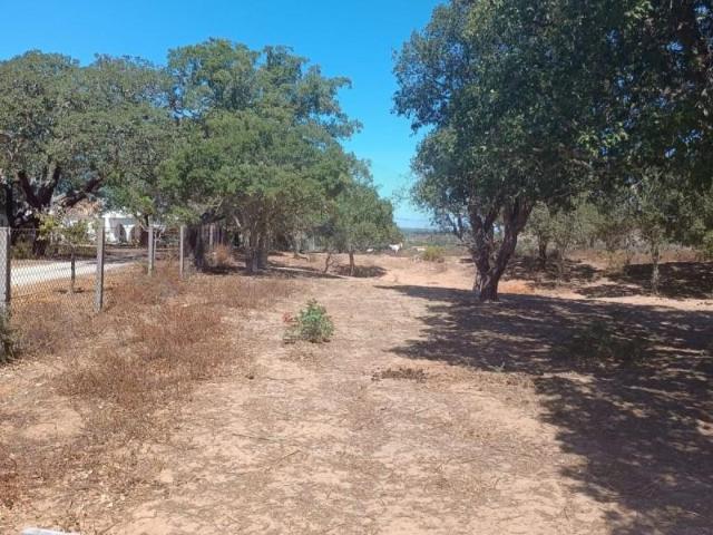 Terreno venda em Barão de São João, Lagos