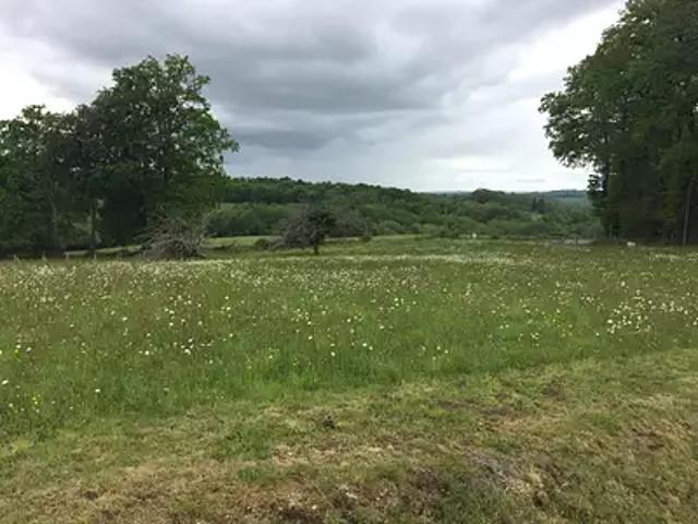 Terrain vente à Lagraulière, Corrèze