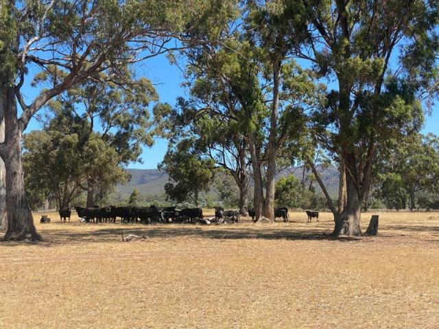 Cottage for sale in Laharum, Victoria