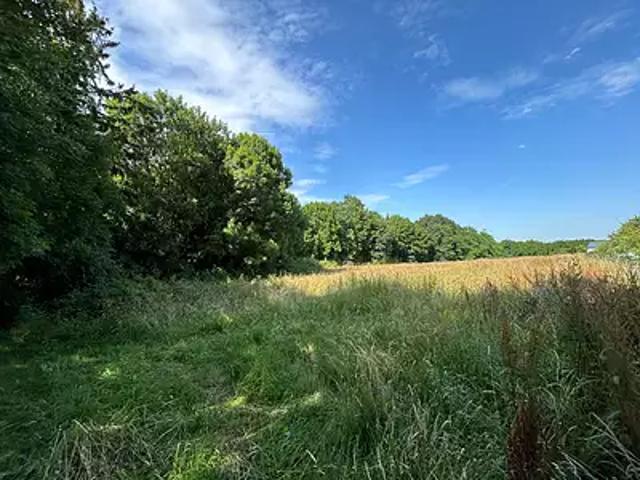 Terrain vente à Tarbes, Lahitte-toupière