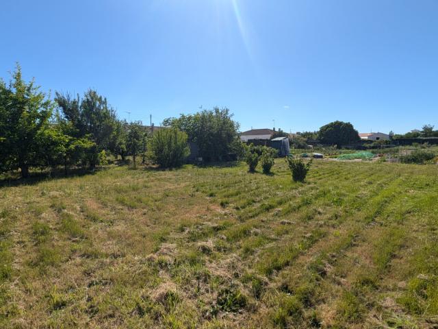 Terrain vente à Les Sables-d'Olonne, L'aiguillon-sur-mer