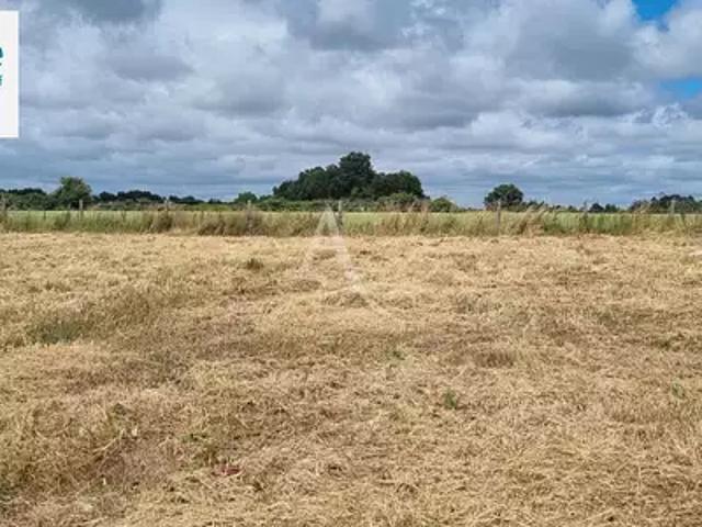 Terrain vente à Les Sables-d'Olonne, L'aiguillon-sur-vie
