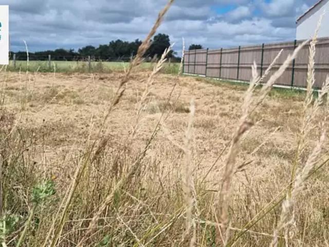 Terrain vente à Les Sables-d'Olonne, L'aiguillon-sur-vie