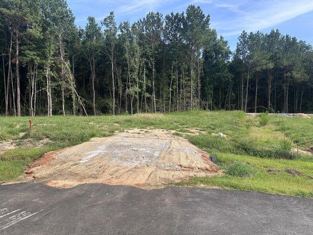 Land for sale in Hattiesburg, Mississippi