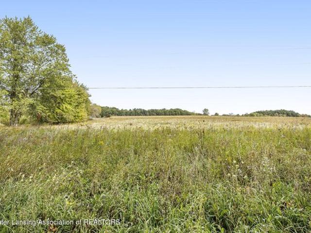 Land for sale in Laingsburg, Michigan