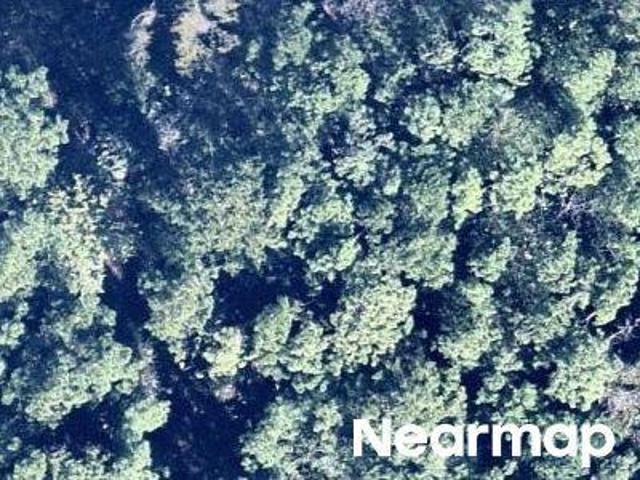 Land for sale in Florida