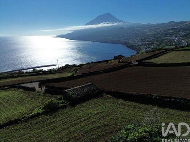 Terreno venda em Açores, Ilha Do Pico