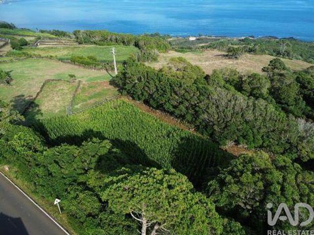 Terreno venda em Açores, Ilha Do Pico