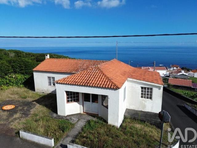 Loja venda em Açores, Ribeiras