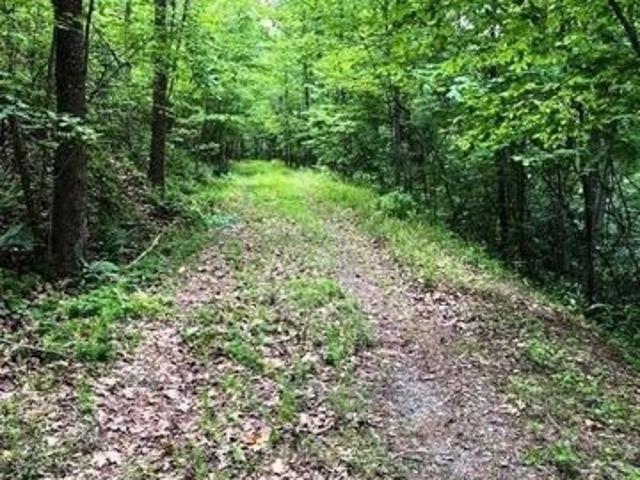 Land for sale in Mill Spring, North Carolina
