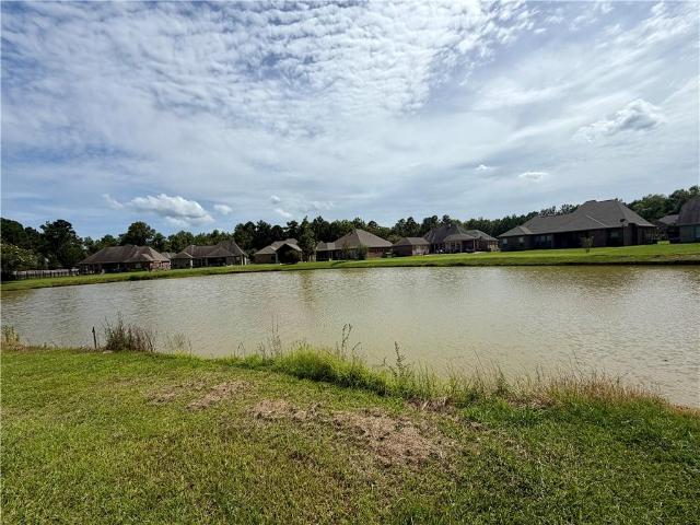 Land for sale in Ponchatoula, Louisiana