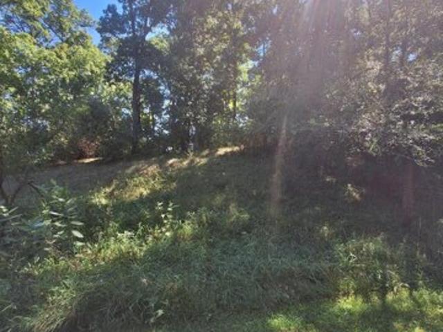 Land for sale in Grass Lake, Michigan