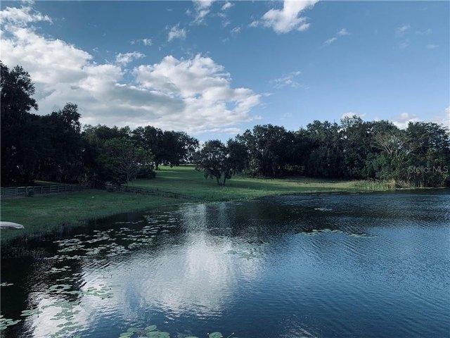 Farm for sale in Umatilla, Florida