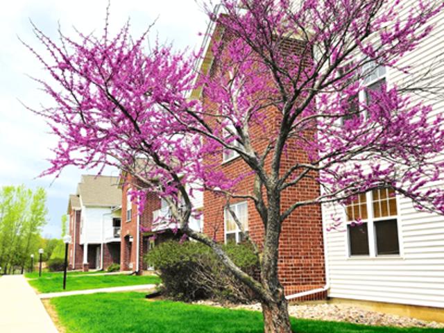 Apartment for rent in Baraboo