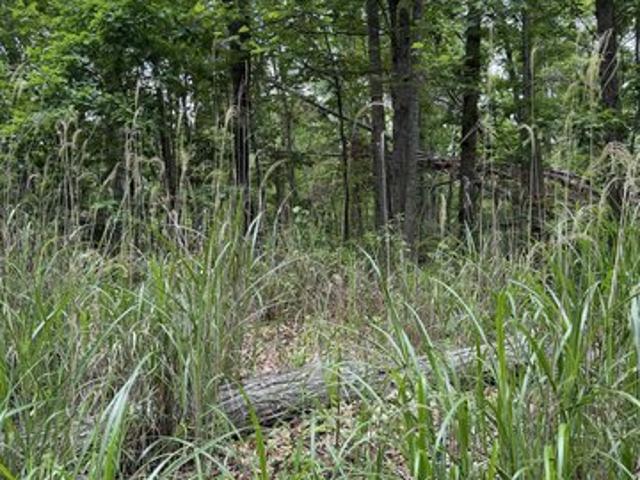 Land for sale in Virginia