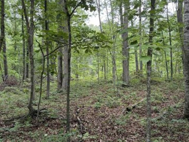 Land for sale in Virginia