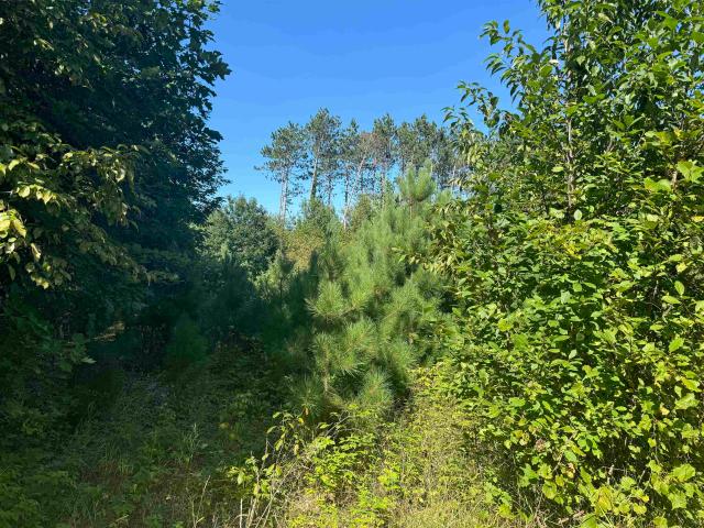 Land for sale in Gresham, Wisconsin