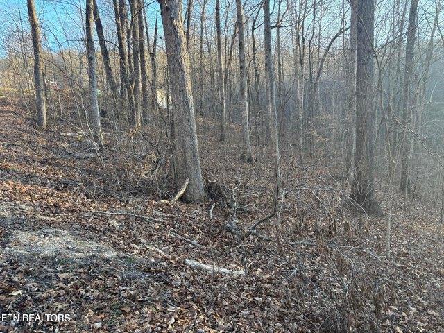Land for sale in Tennessee