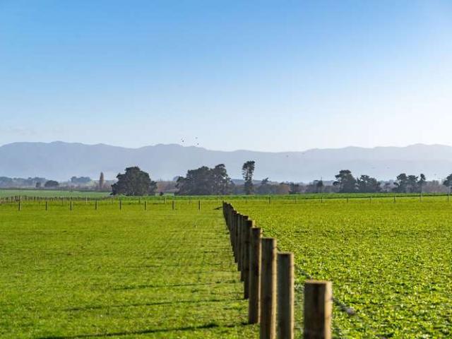 Property for sale in Cape Palliser, Wellington