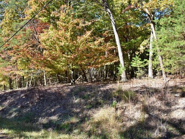 Land for sale in Spring City, East Tennessee