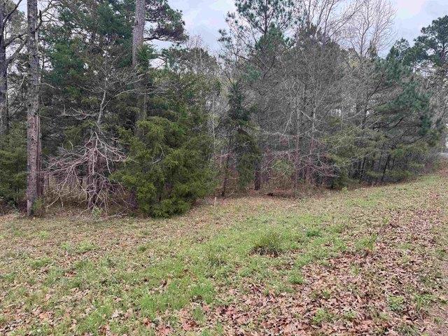 Land for sale in Gladewater, Texas