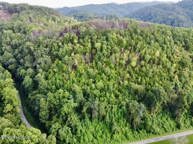 Land for sale in Tellico Plains Land for sale in Tellico Plains
