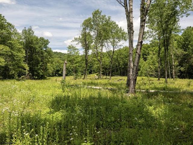 Land for sale in Belington, West Virginia