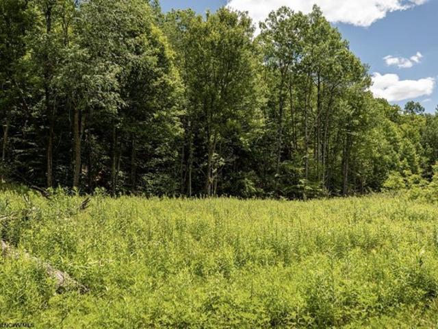 Land for sale in Belington, West Virginia