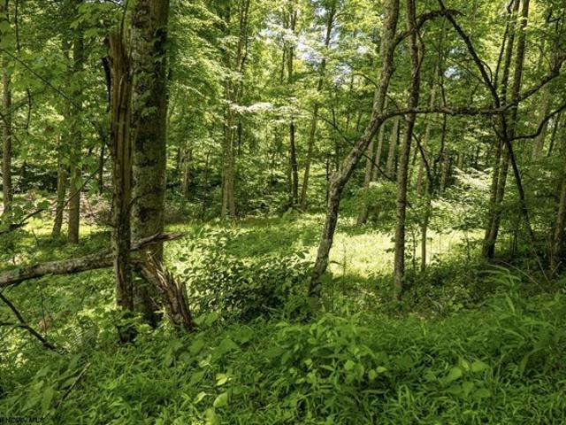 Land for sale in Belington, West Virginia