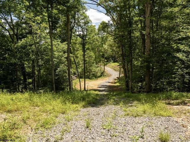 Land for sale in Belington, West Virginia