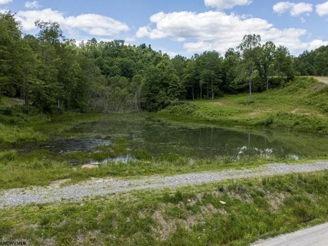 Land for sale in Belington, West Virginia