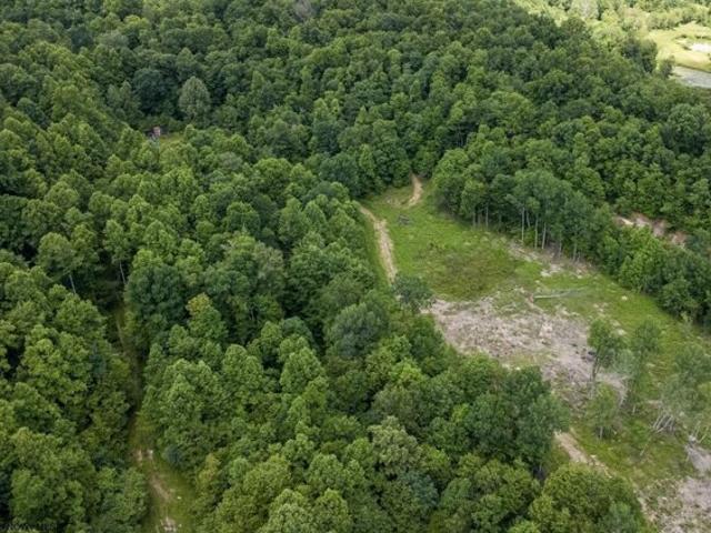 Land for sale in Belington, West Virginia