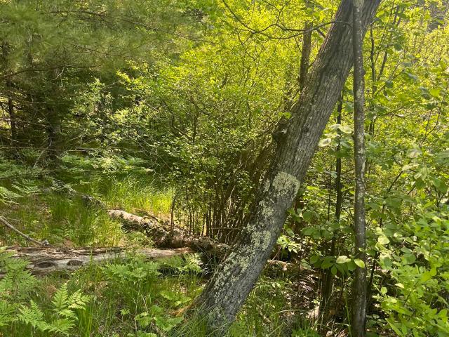 Land for sale in Wisconsin