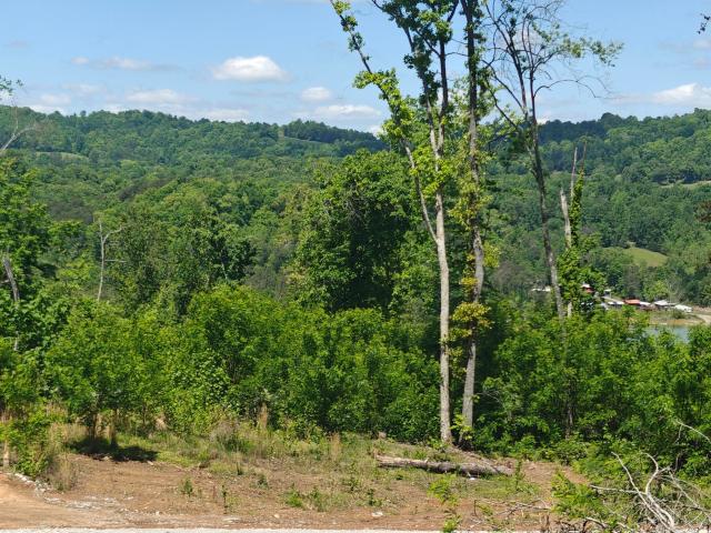 Land for sale in Tennessee