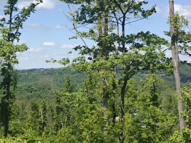 Land for sale in Tennessee
