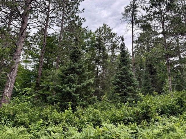 Land for sale in Cable, Wisconsin