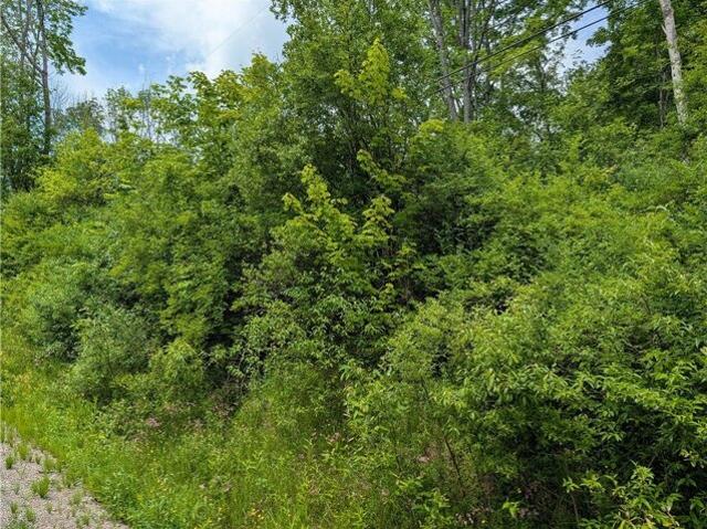 Land for sale in Plymouth, New York