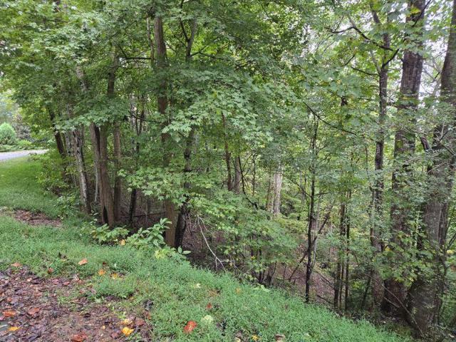 Land for sale in Rutherford, North Carolina