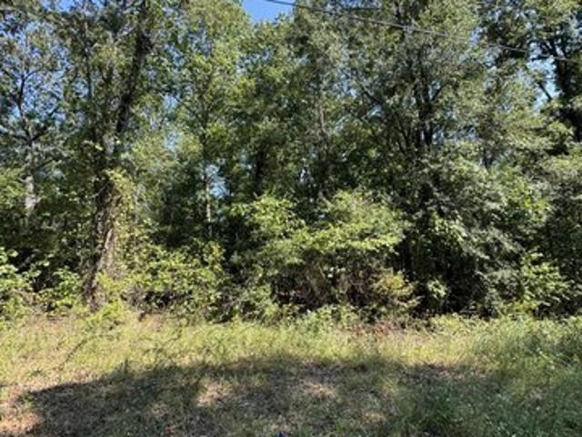 Land for sale in Coker, Alabama