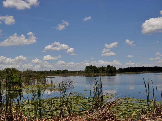 Property for sale in Dundee, Florida