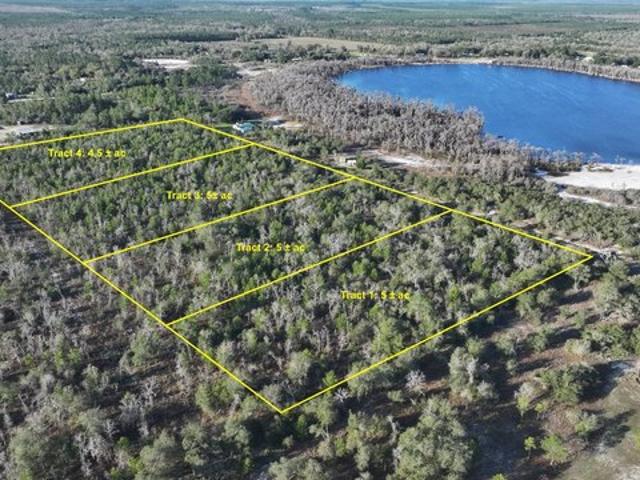 Land for sale in Altha, Florida