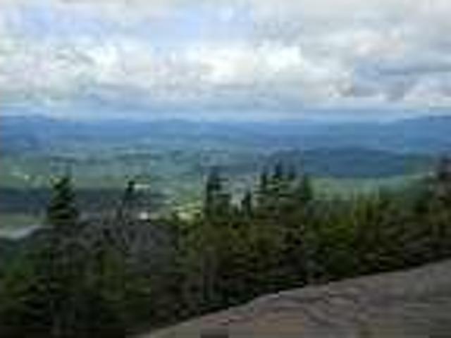 House for rent in Lake Placid, Florida