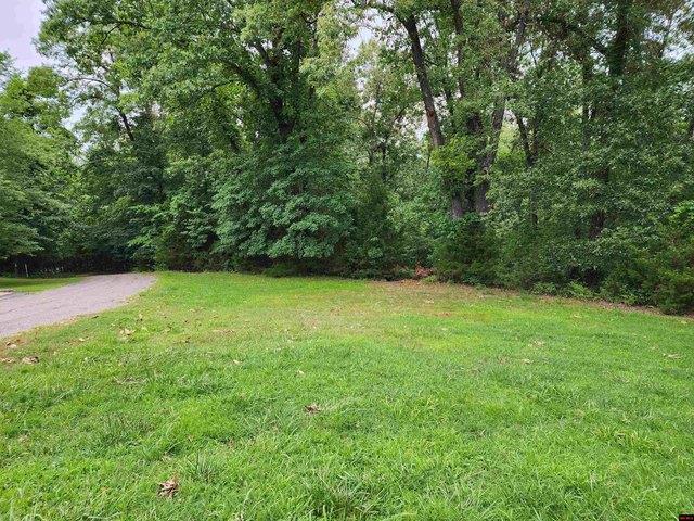 Land for sale in Flippin, Marion County