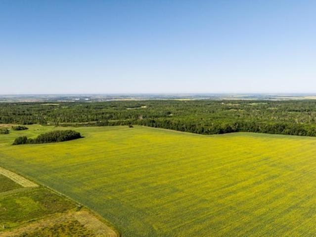 Land for sale in Bottineau, North Dakota
