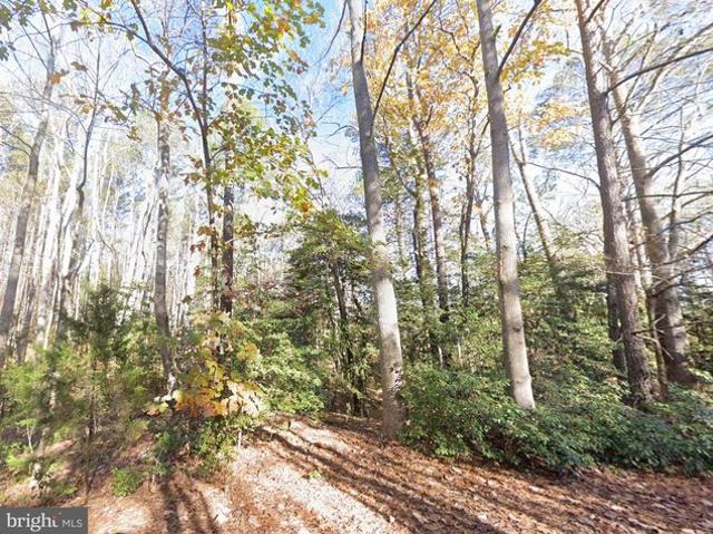 Land for sale in Virginia
