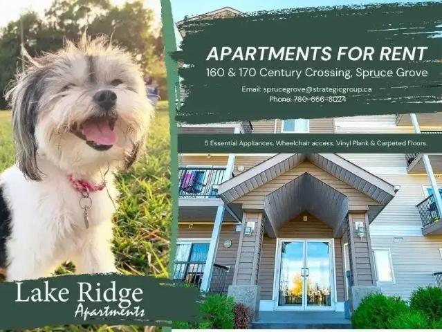 Apartment for rent in Spruce Grove, Alberta
